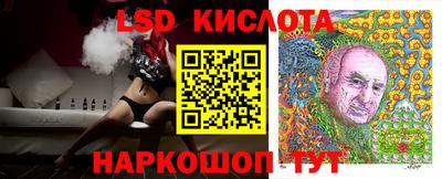 гидра Новозыбков