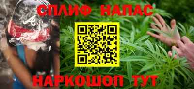 гидра Новозыбков