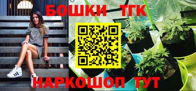 гидра Новозыбков