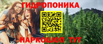 гидра Новозыбков