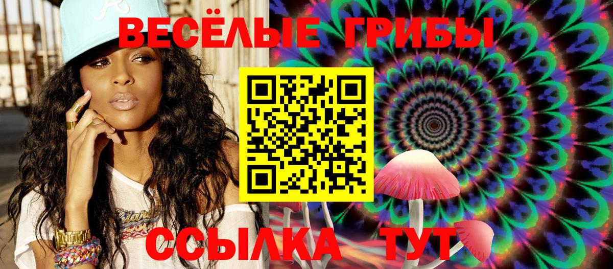 Тверь  продажа наркотиков  Галлюциногенные грибы GOLDEN TEACHER  Вход с VPN  Псилоцибиновые грибы MAGIC MUSHROOMS 